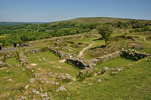 Hound Tor Medieval Village (4175)