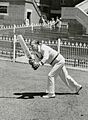 Hutton 1947