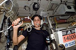 ISS-14 Williams Marathon