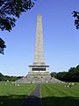 Ireland - Dublin - Phoenix Park - Wellington Monument 2
