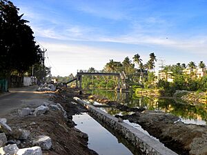 Kollam Canal, Jan 2016