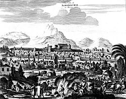 La Ville de Schamachie en Perse, Pieter van der Aa