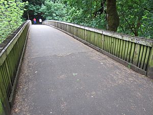 Lake Oswego, Oregon (2018) - 21
