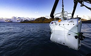 Limiting Factor at the Cumberland East Bay (South Georgia Island)