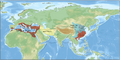 Major powers in Eurasia around 555AD