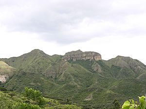 MandangoVilcabamba