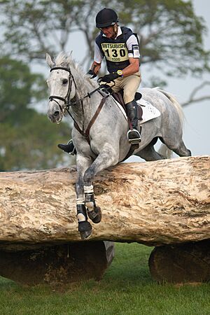 Mark todd nzb land vision quarry badminton 2011