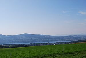 Meisterschwanden kaj Lago de Hallwil viditaj de Lindenberg 175