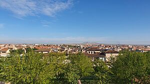 Mocejón vista desde el sur hacia el norte.jpg