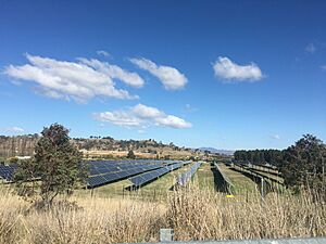 Mount Majura Solar Farm August 2024