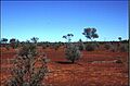 Mulga heath