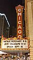 Natalie Merchant coming to Chicago Theatre (14903575283)