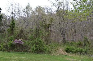 North toward the Stone Serpent