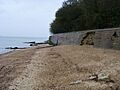 Old Castle Point - geograph.org.uk - 1034280