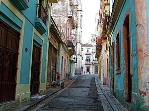 Old Havana back street
