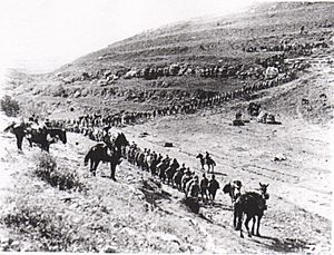 Column of soldiers marching up a hillside with mounted guards