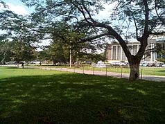 Parc de L'Université de Kinshasa 2