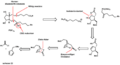Prostaglandin retro23