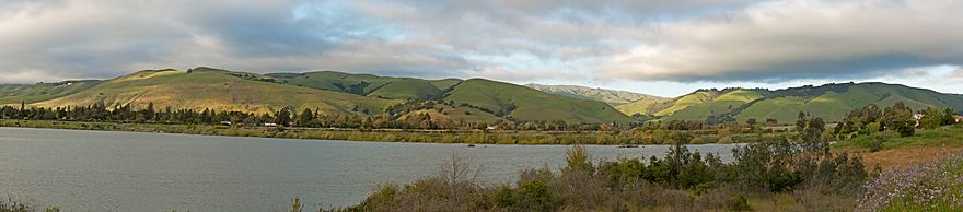 Panorama of Quarry Lakes Regional Recreation Area