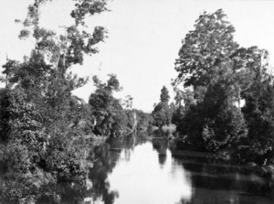 Queensland State Archives 263 Mary River Crossing at Tuchekoi between Pomona and Imbil c 1931