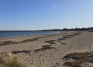 Quincy Shore Reservation