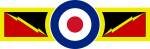 RAF 4 Sqn.svg