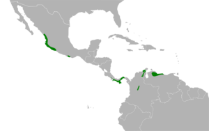 Rhodinocichla rosea map.svg