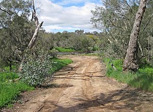 Right bank approach to ford crossing of Avon River, West Toodyay, Western Australia 2015