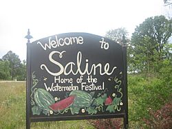 Saline welcome sign