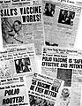 Salk headlines