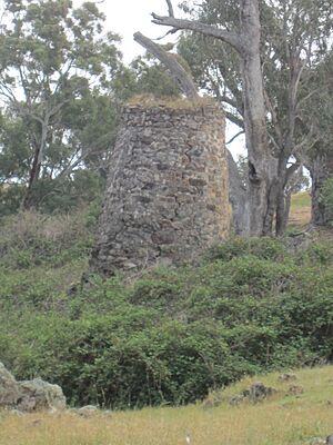 Side-view of Bogolong Blast Furnace from Public Land on Ilalong Rd (October 2019)