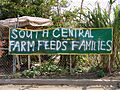 South Central Farm 2