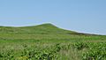 Spirit Mound Historic Prairie 1a