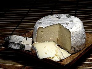 St Pat cheese