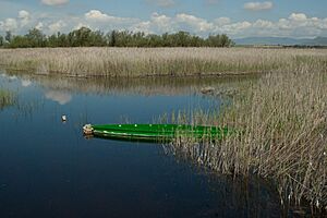 Tablas de Daimiel, Ciudad Real 09