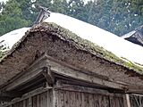 Thatched roof with snow in Oga City Akita Prefecture March 2017