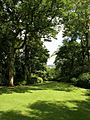 The Glade, Dartington Hall Gardens - geograph.org.uk - 1401688