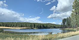 Tooley Lake from South East.jpg