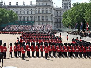 Trooping the Colour form march past