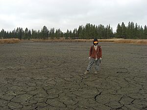 Turnbull Slough in drought - Flickr - pellaea