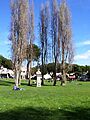 Washington Square Park (San Francisco)