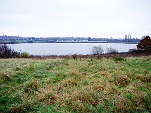 Welsh Harp Nature Reserve, London Borough of Barnet, NW9 (2050775047)
