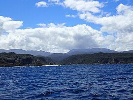 West Cape & Newton River Fiordland New Zealand Aotearoa.jpg