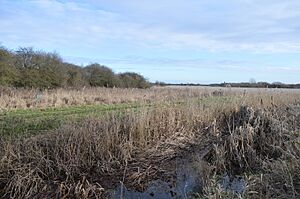 Wilbraham Fens 4