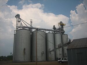 Winnsboro, LA, grain elevator IMG 1283
