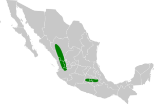 Xenospiza baileyi map.svg