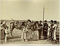 Проводы донских казаков на службу. Сентябрь 1876 г.