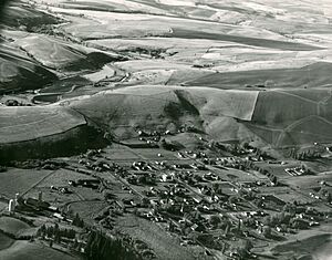 Aerial view of Albion, Washington, circa 1950 - DPLA - 5e3f6dbcf9143b8ee48536fb529760d5