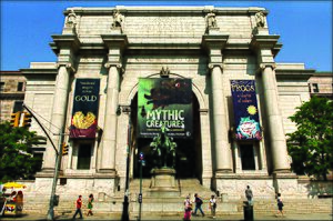 American Museum Natural History 3792476001 6cab532900