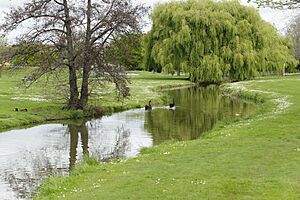 Anderson Park, Napier.jpg